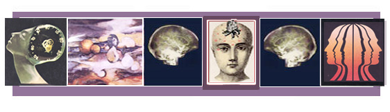 Banner for Conscious Evolution